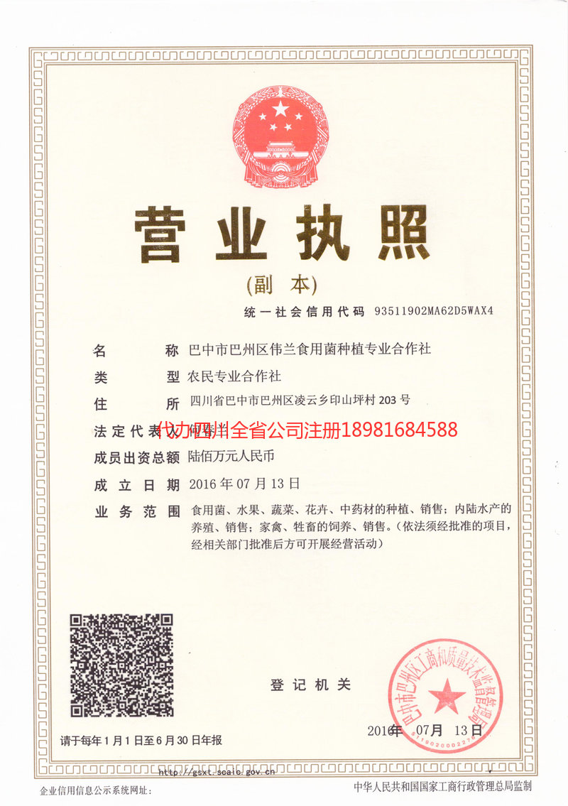 安庆安庆伟兰食用菌种植专业合作社